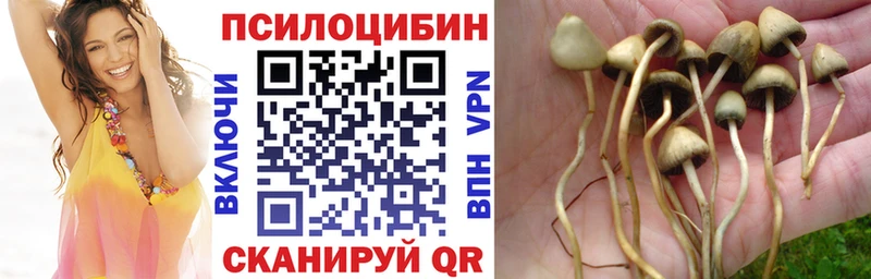 Галлюциногенные грибы мухоморы Щигры